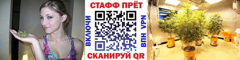 МЕФ Урюпинск