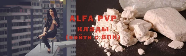 PSILOCYBIN Алзамай