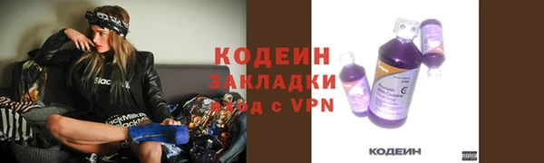 PSILOCYBIN Алзамай