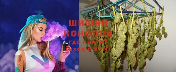 PSILOCYBIN Алзамай