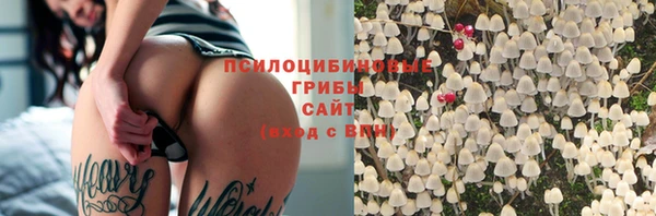 PSILOCYBIN Алзамай